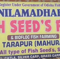 Nilamadhaba fish and fish seed farm