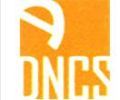 DN Care Services
